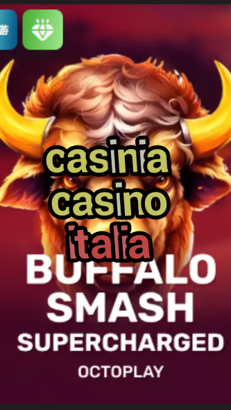 casinia casino italia-w4cy2mdjlx2bf.com